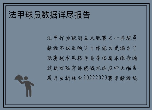 法甲球员数据详尽报告